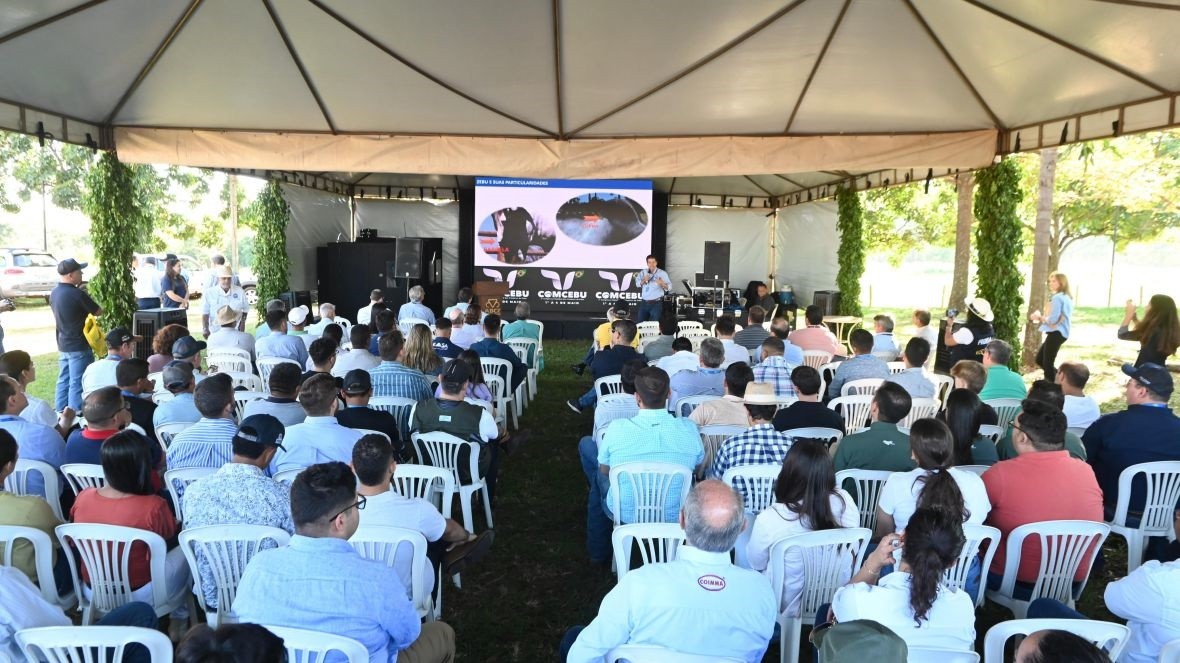 Zebu Connect Day e Dia de Campo integram programação da 91ª ExpoZebu