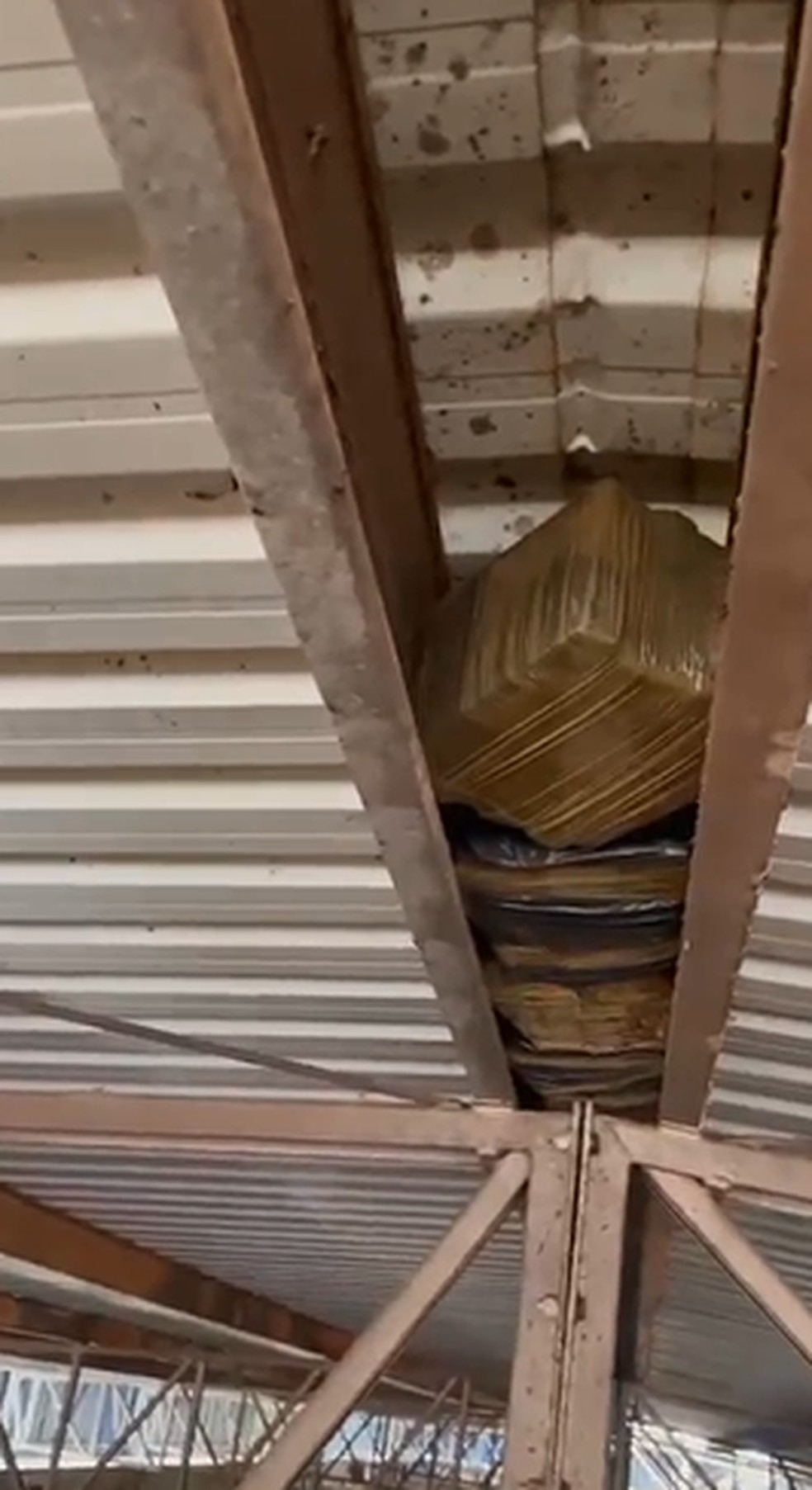 PM apreende 80kg de drogas em Clínica da Família e escola municipal na Maré — Foto: Divulgação
