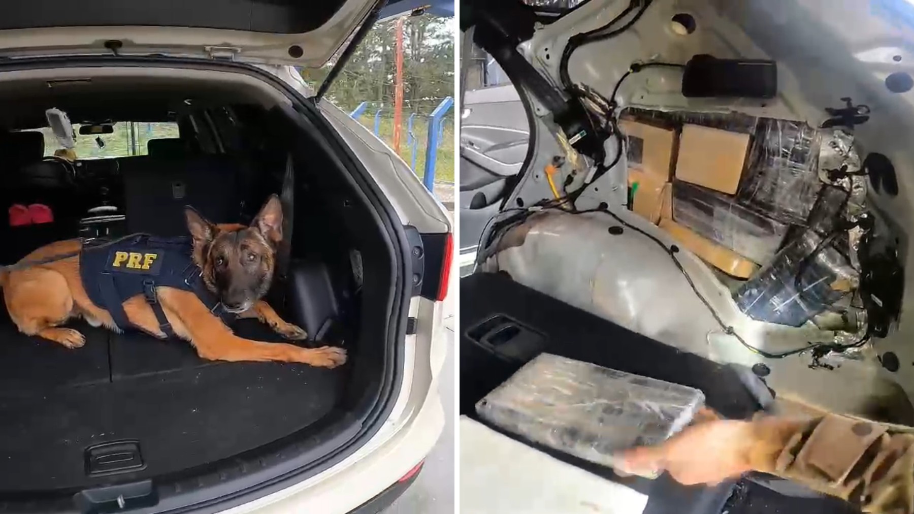 Casal de paraguaios diz que veio ao Brasil comprar roupas para vender, e cão farejador descobre cocaína em fundos falsos de carro