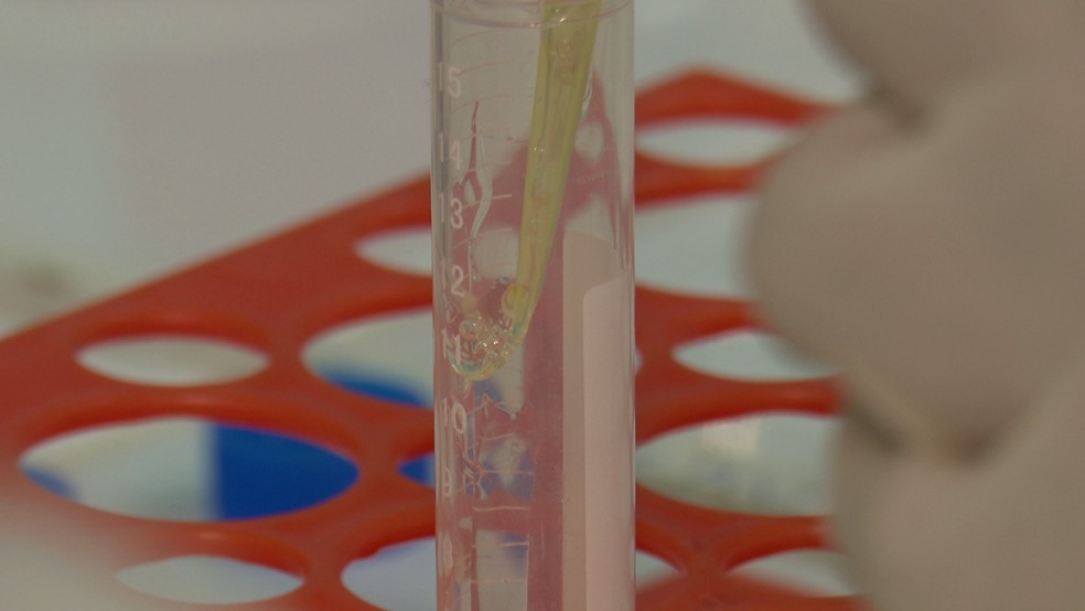 Óleo essencial utilizado no desenvolvimento de inseticida e repelente — Foto: Reprodução/TV Cabo Branco