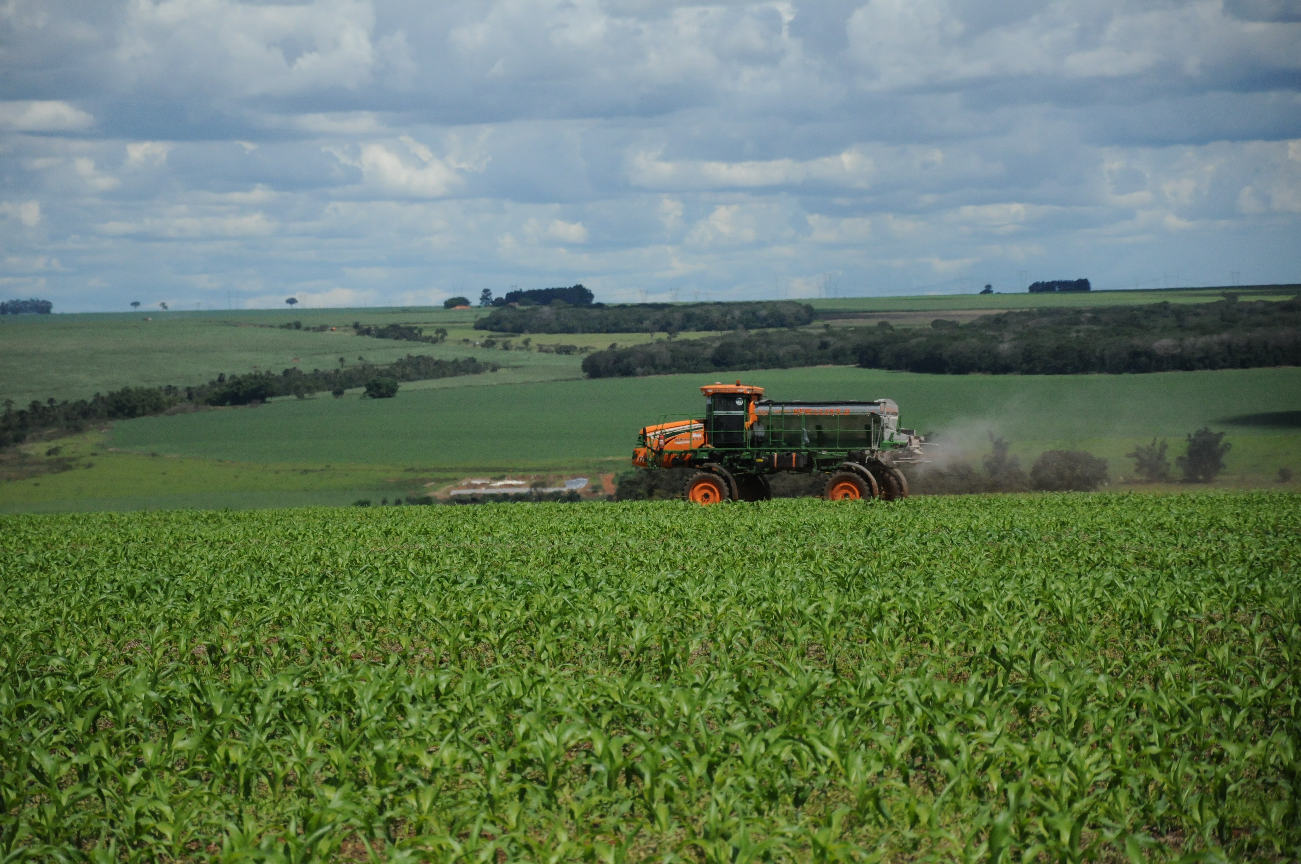 Em meio a guerra comercial, Brasil bate recorde em exportações de soja e amendoim para a China