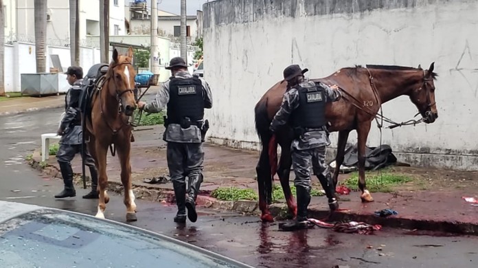 Jovem montado a cavalo tenta matar homem e é preso em Belo
