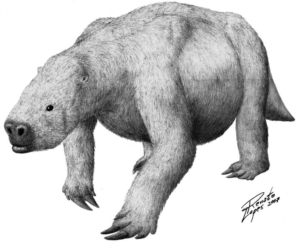Preguiças gigantes da espécie glossotherium são prováveis ocupantes de toca encontrada em Campo Bom — Foto: Renato Lopes/Projeto Paleotocas/Divulgação