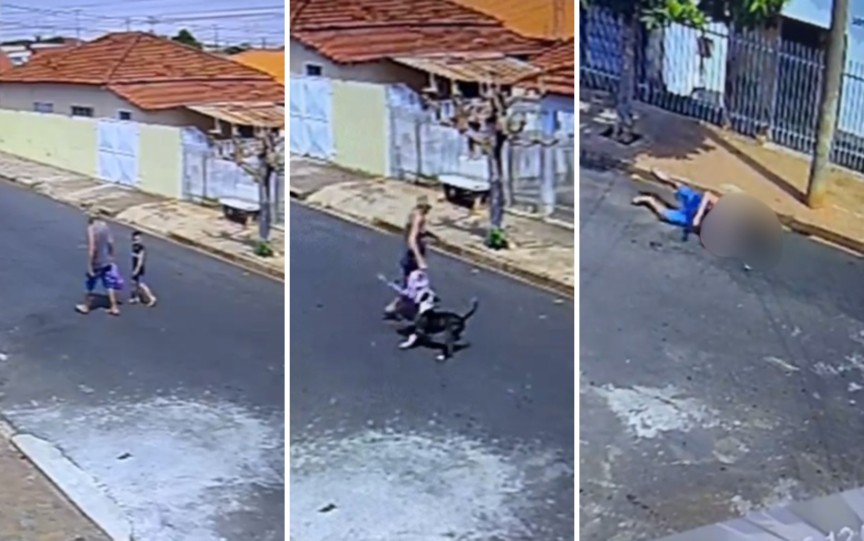 Idoso é atacado por pitbull ao levar bisneta para escola no interior de SP; VÍDEO