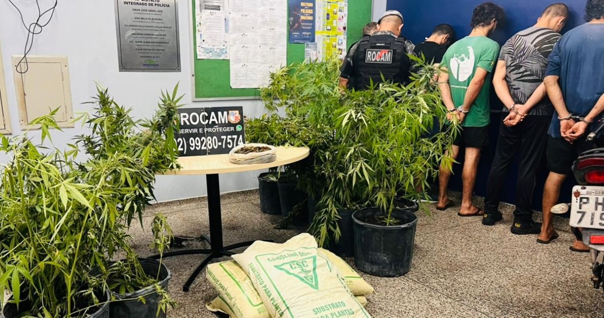 VÍDEO: Rocam descobre plantação com 50 pés de maconha e prende 5 suspeitos em Manaus