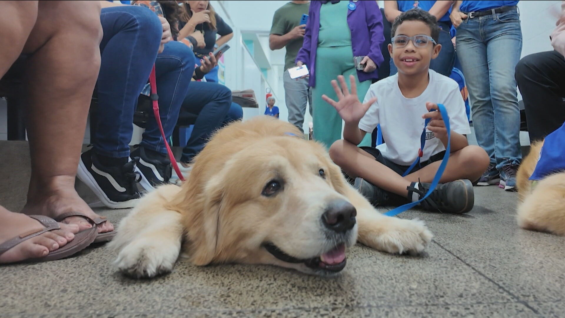 Cães de apoio emocional ajudam a transformar rotina de pacientes em hospitais estaduais do RJ