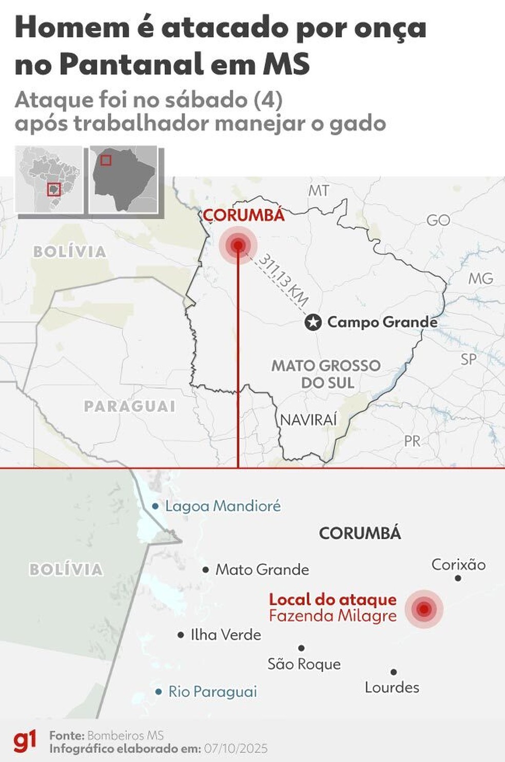 Infográfico - local onde homem foi atacado por onça em MS — Foto: Arte/g1