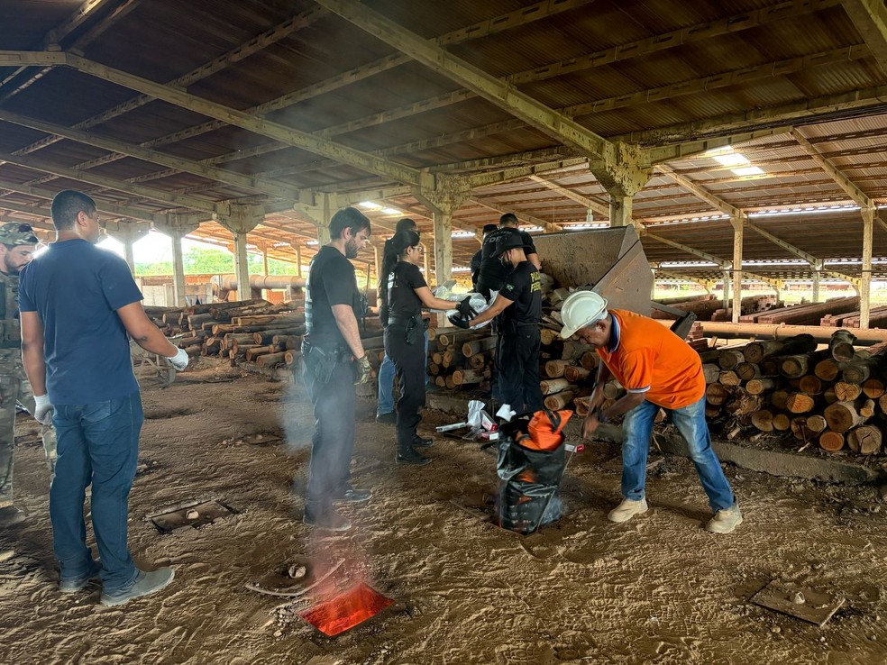 PF incinera uma tonelada cocaína apreendida em operação em São José de Ribamar — Foto: Divulgação/PF