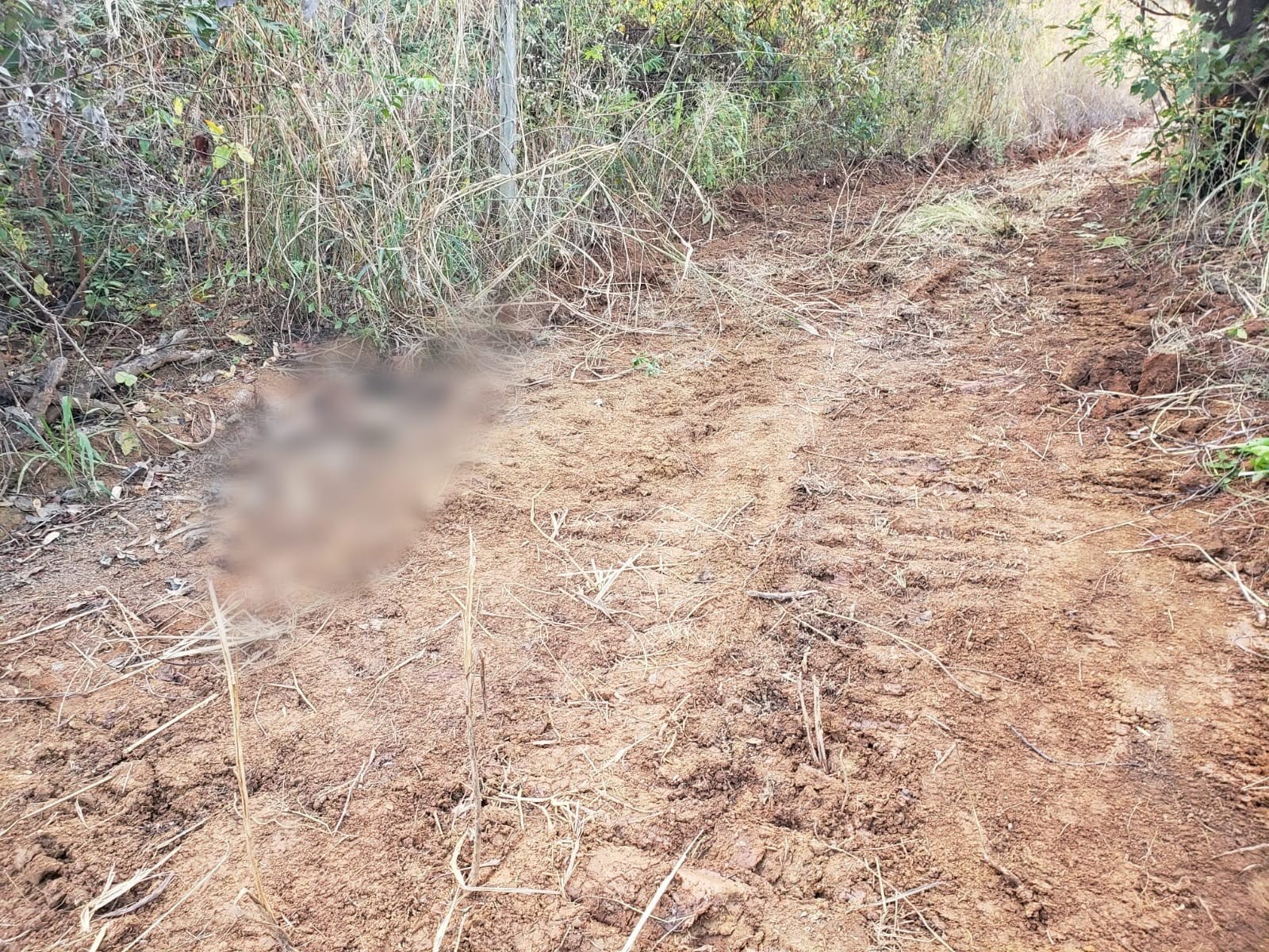 Ossada humana é encontrada em fazenda na zona rural de Riachinho