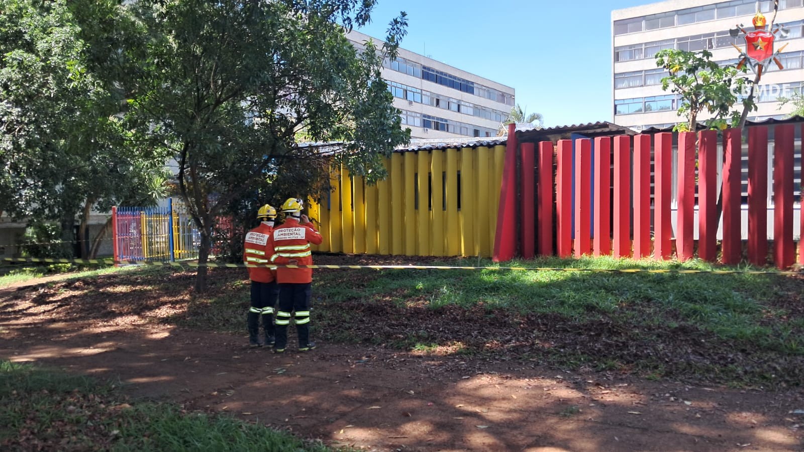 Abelhas atacam professores e alunos em escola no DF; colmeia foi agitada após roçagem da Novacap