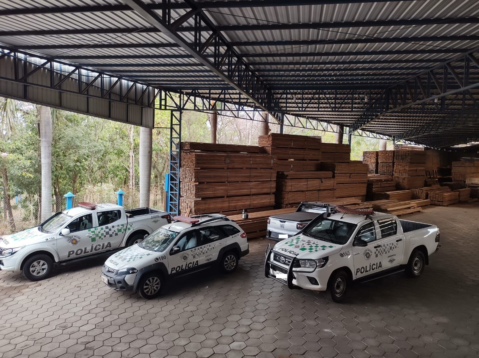 Polícia apreende madeira ilegal avaliada em R$ 20 mil e multa proprietária no interior de SP
