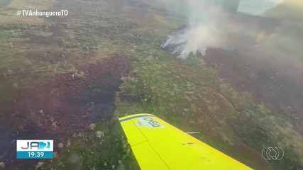 Com média de 100 focos por dia, Tocantins enfrenta avanço das queimadas no Cerrado