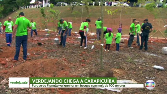 Verdejando: Carapicuíba recebe mutirão para plantio de 100 árvores - Programa: Bom Dia SP 