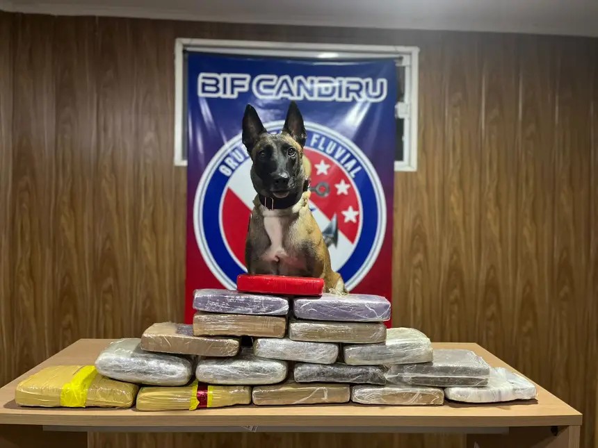 BIF Candiru: Mais de 17kg de entorpecentes são encontrados em carreta dentro de empurrador