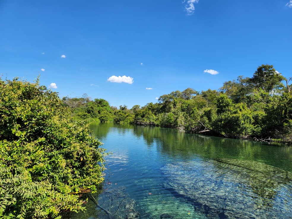 Vista da Lagoa do Japonês — Foto: Divulgação/Glerivan Martins - Expedições Tocantins