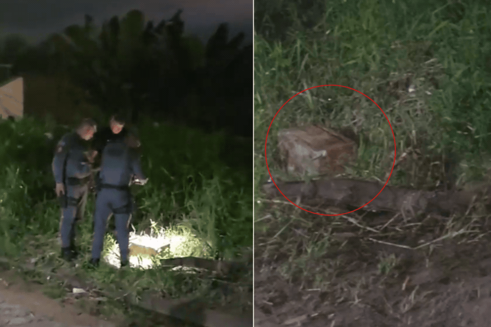 Ossada de bebê é encontrada dentro de caixa em terreno no litoral de SP; VÍDEO