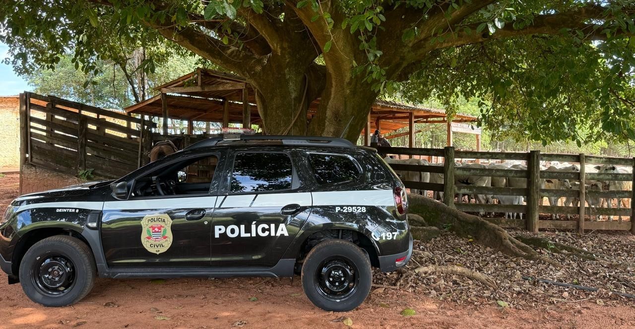 Investigações restituem a pecuarista rebanho de quase 100 bovinos furtados de fazenda em Santo Anastácio