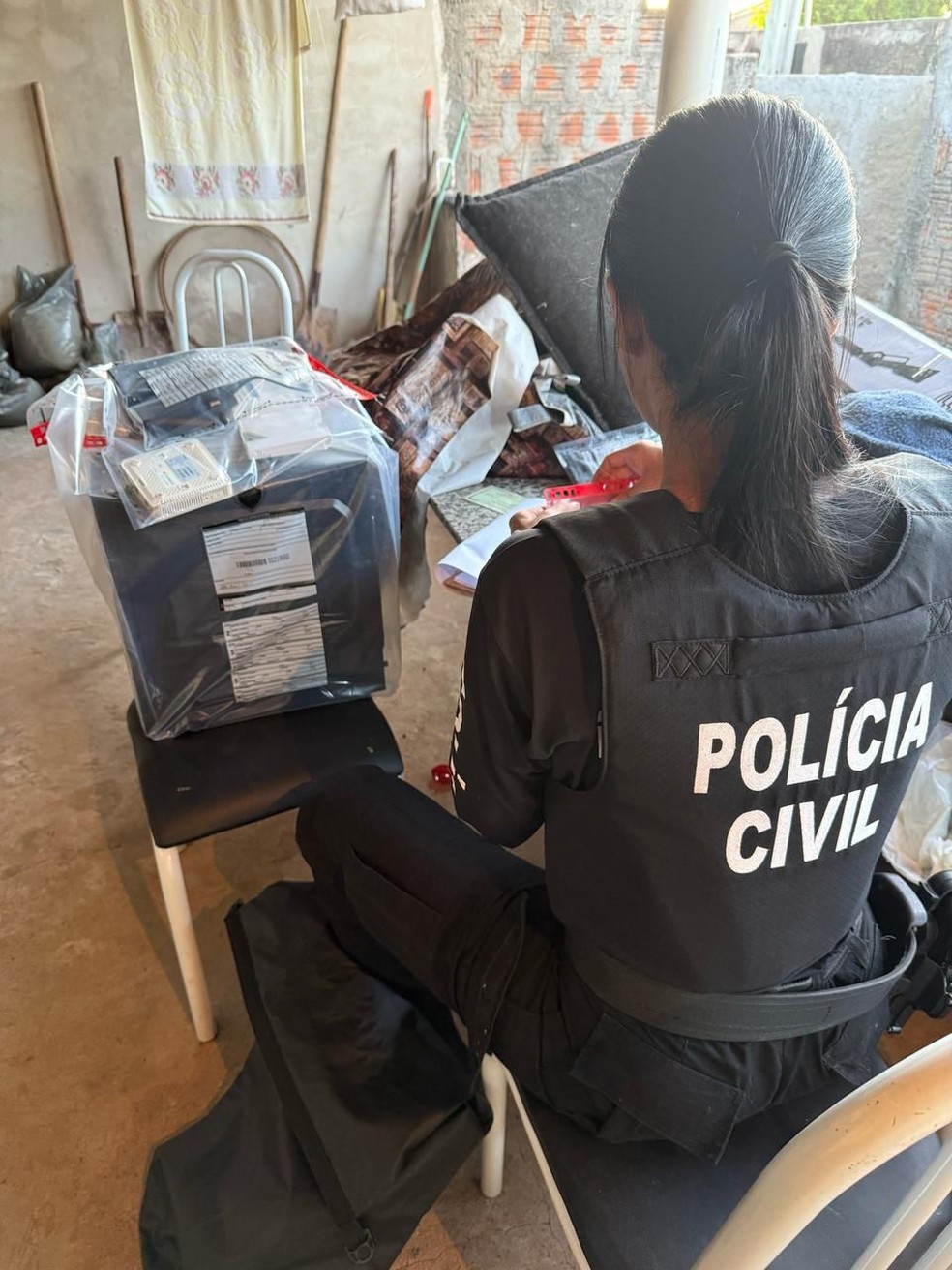 Materiais apreendidos pela polícia junto do suspeito, no interior de São Paulo — Foto: Divulgação Dracco