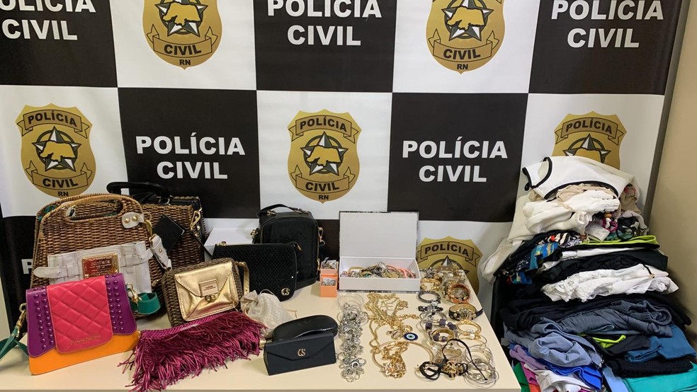 Produtos furtados foram recuperados e devolvidos à dona — Foto: Polícia Civil