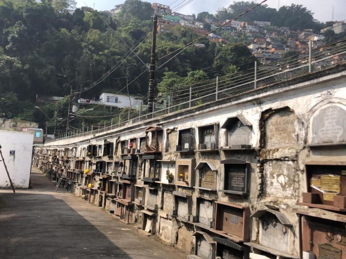 Santos define regras e valores para sepultamento de animais em cemitérios; confira