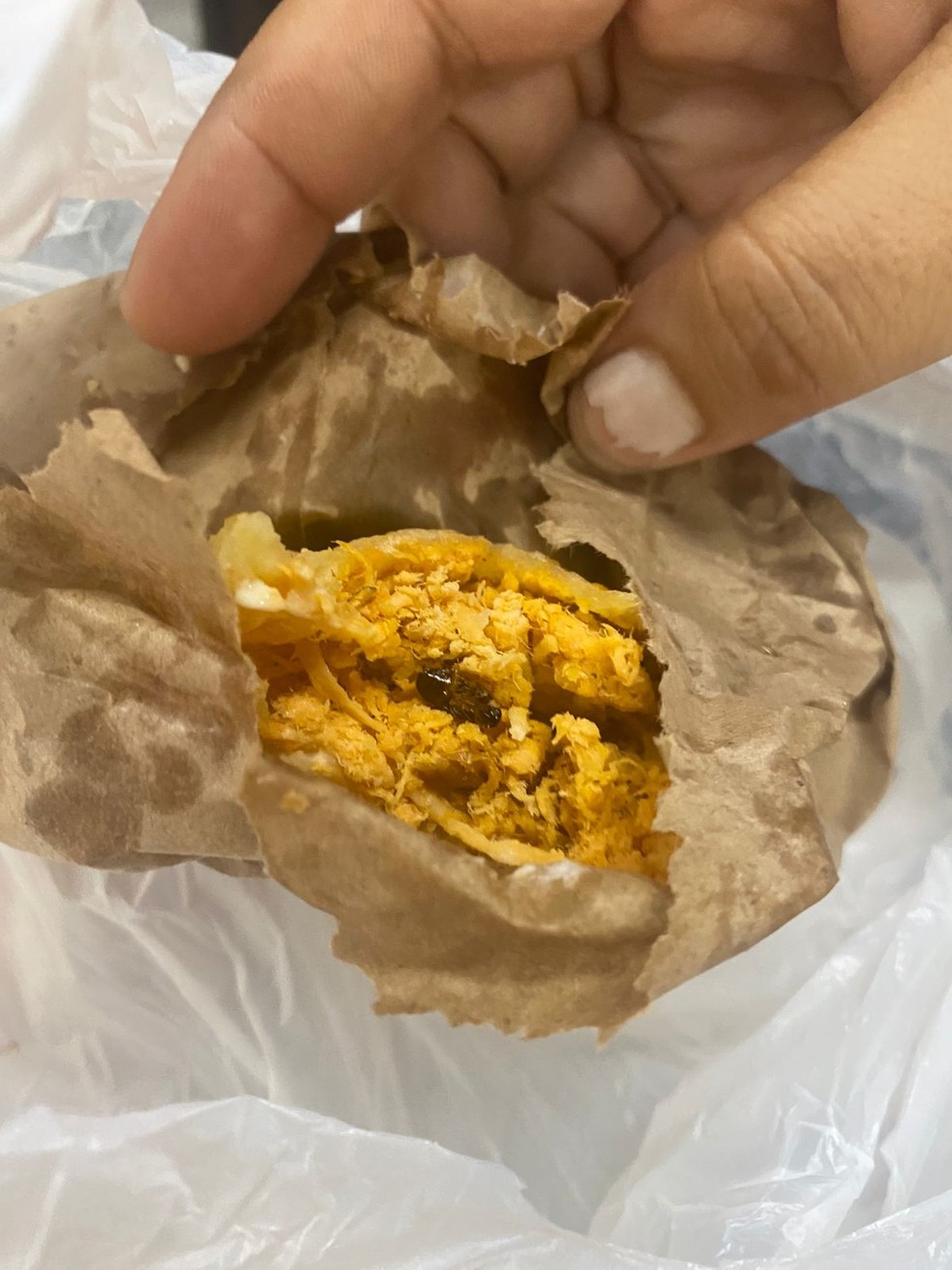 Adolescente denunciou que encontrou barata em pastel em Copacabana — Foto: Reprodução