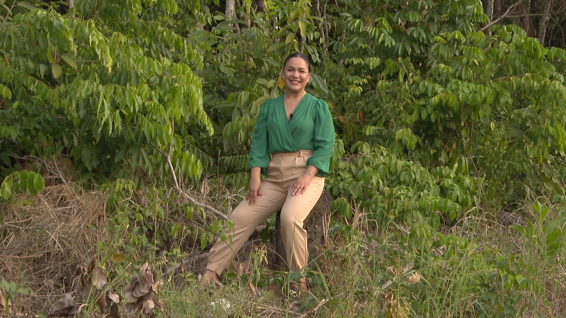 Amazônia Agro de domingo, 7 de setembro de 2025