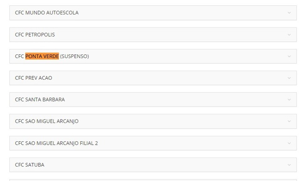 No site do Detran é possível ver as autoescolas credenciadas — Foto: Reprodução