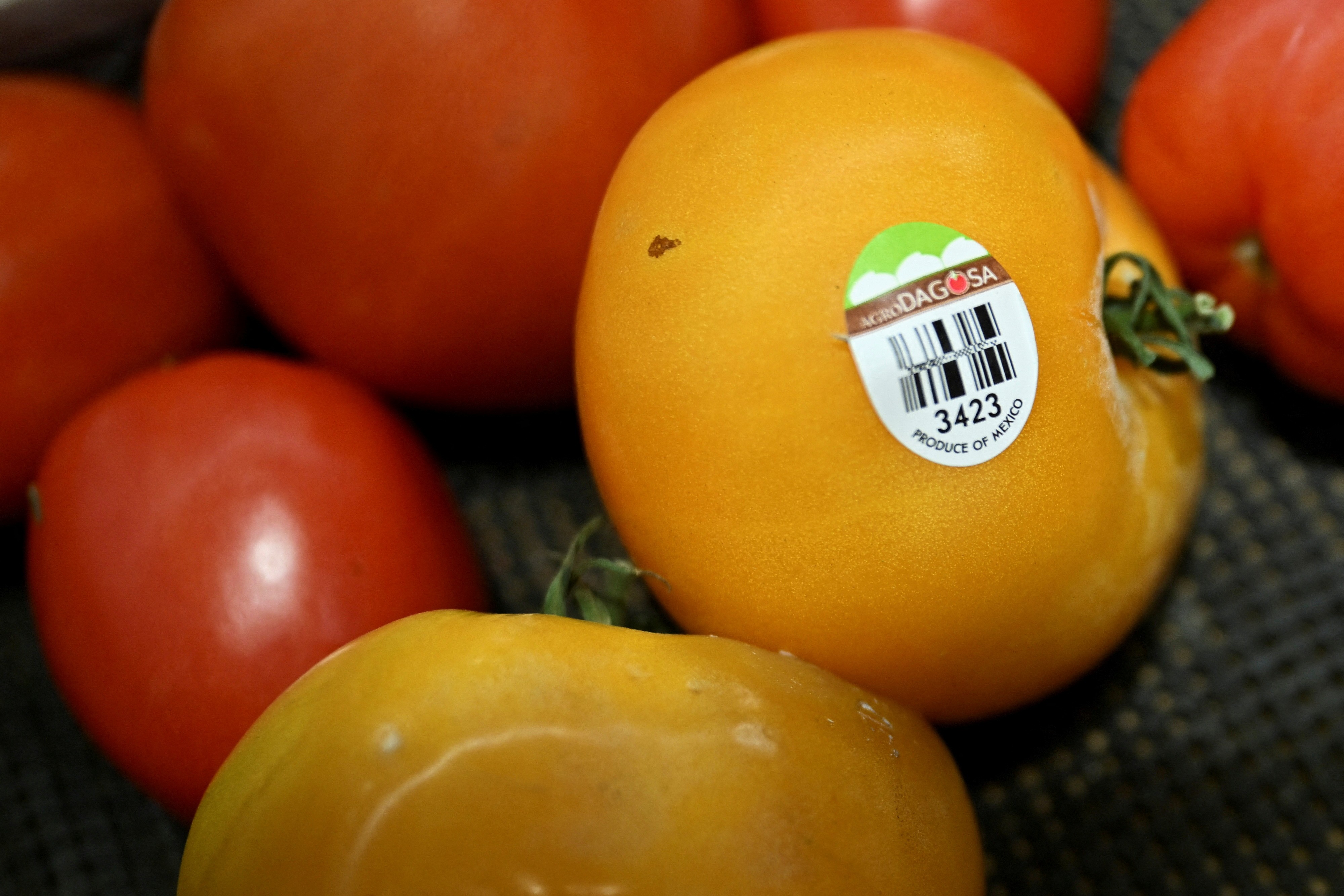 EUA impõem tarifa de 17% sobre o tomate importado do México
