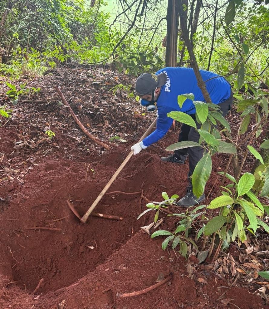 Corpo encontrado enterrado pode ser de jovem desaparecido em MT; perícia investiga