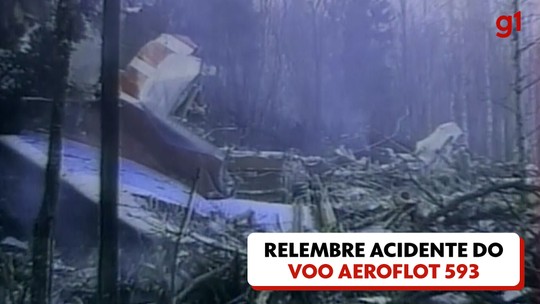 Aeroflot 593: o voo internacional que caiu na Sibéria porque o comandante deixou o filho de 15 anos pilotar o avião - Programa: G1 Mundo 