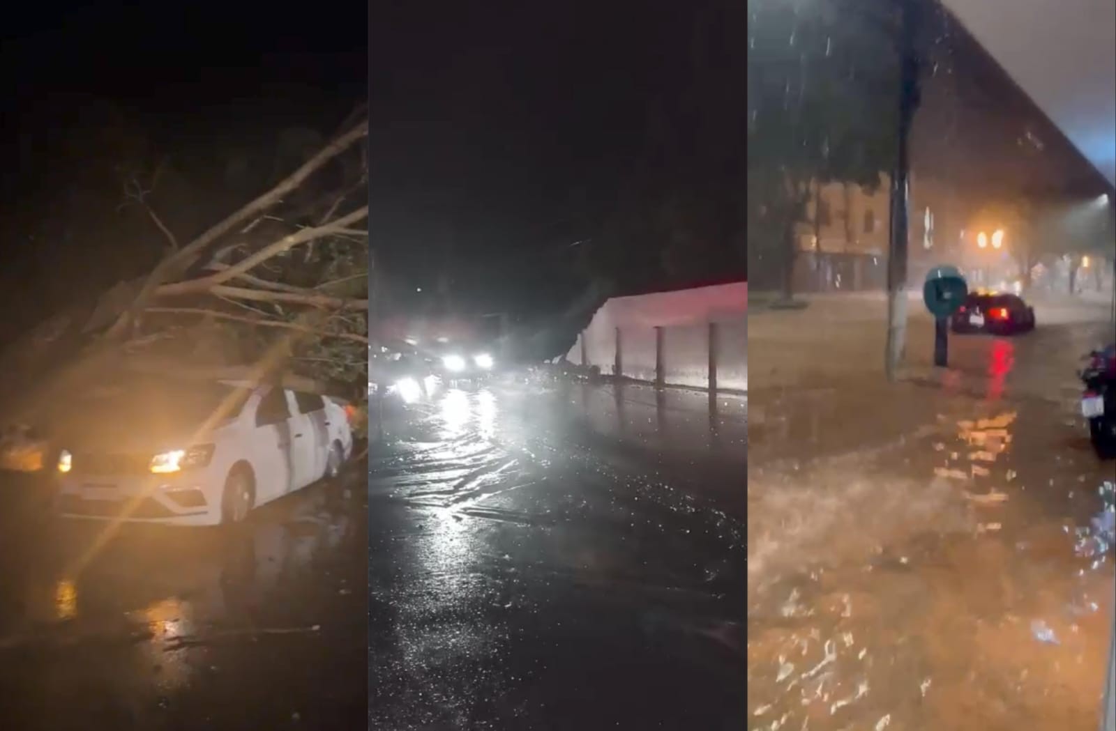 Queda de muro e árvores, ventania e ruas alagadas: chuva chega trazendo estragos na região Leste de Minas 