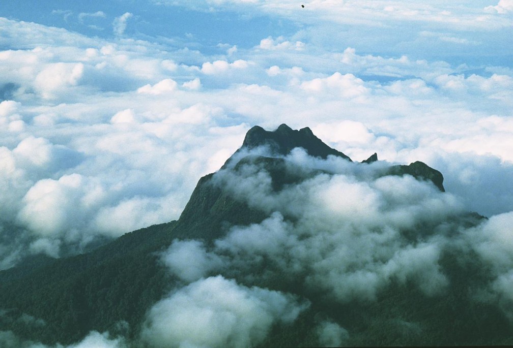 Turismo no Pico da Neblina, ponto mais alto do Brasil, será retomado após  quase 20 anos | Amazonas | G1