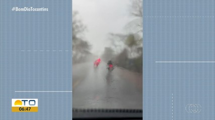 Chuva causa queda de árvores às margens da BR-153, na região central do estado