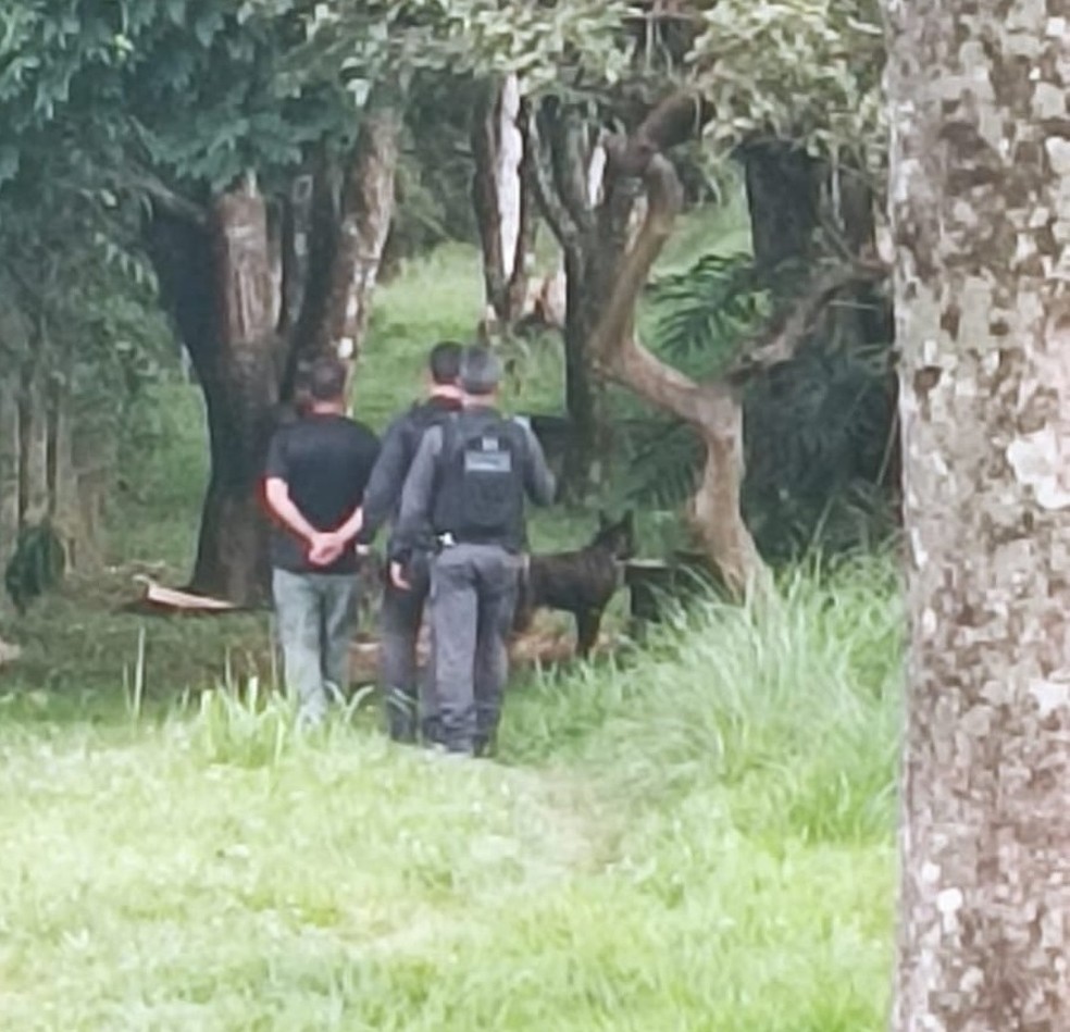 Polícia Federal faz operação contra o tráfico de drogas no campus da UFJF e homem é preso — Foto: Polícia Federal/Divulgação
