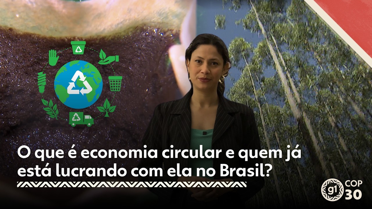 O que é economia circular e quem já está lucrando com ela no Brasil?