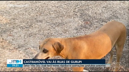 Vila São José, em Gurupi, recebe castrações de cães e gatos gratuitas neste sábado (7)