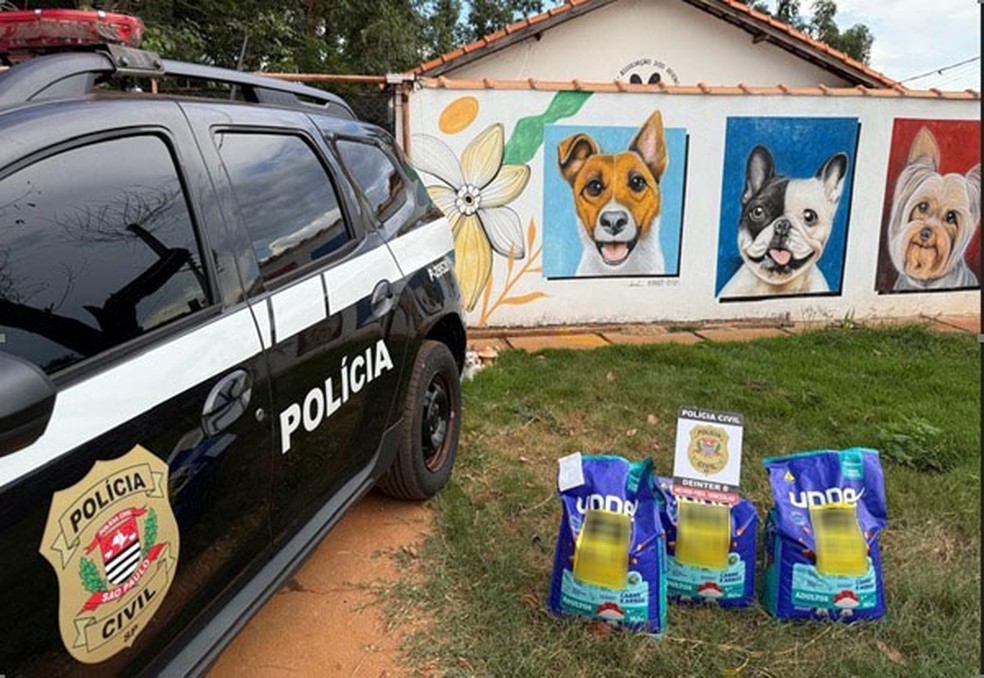 Após ataque de pitbulls, tutor faz doação de ração para abrigo, em Presidente Venceslau (SP) — Foto: Polícia Civil