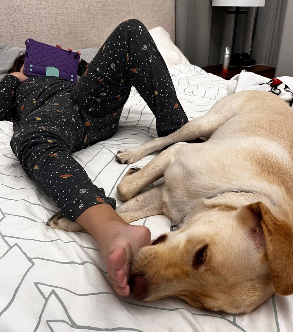 Tedy é cão de serviço de uma criança autista e foi proibido pela empresa aérea TAP a embarcar em voo com destino a Portugal | Foto: Arquivo pessoal