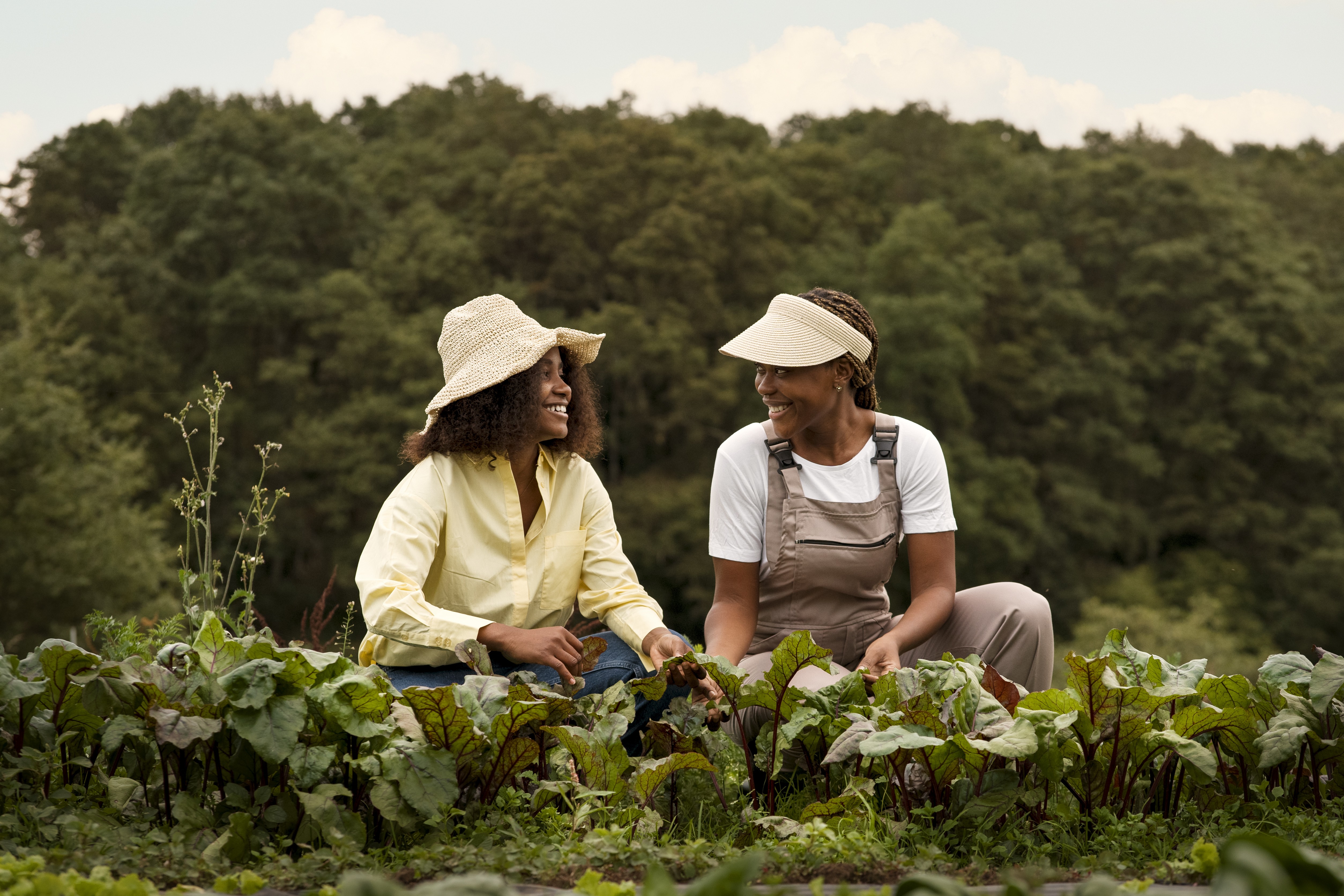 Participação feminina no agronegócio catarinense cresce, mas ainda há desafios