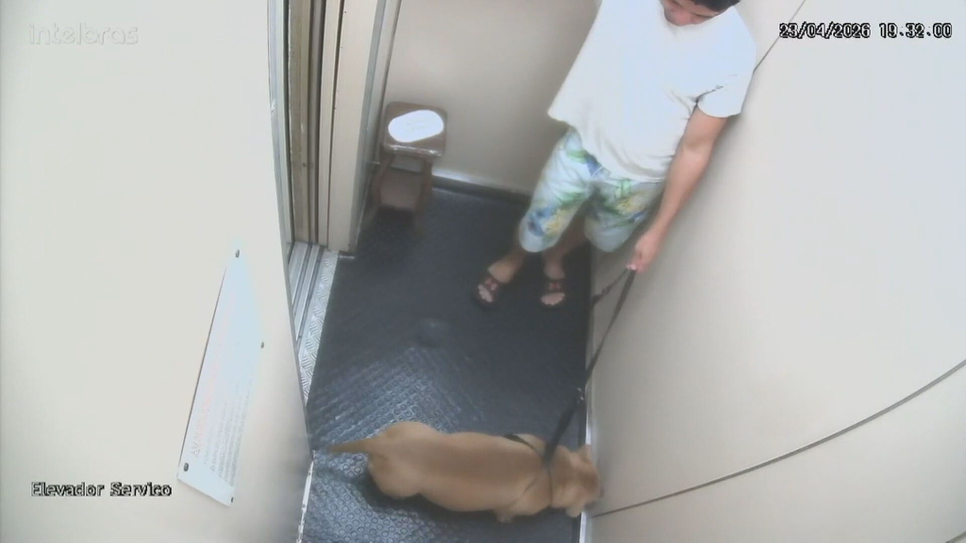 'A pessoa que o cão mais confiava', delegado diz que equipe ficou chocada com cachorro morto por tutor em Copacabana