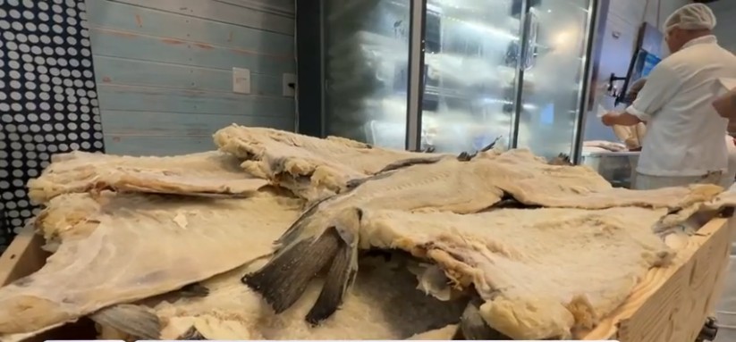 Você Não Tá Convidada pro Meu Bat Mitzvá!