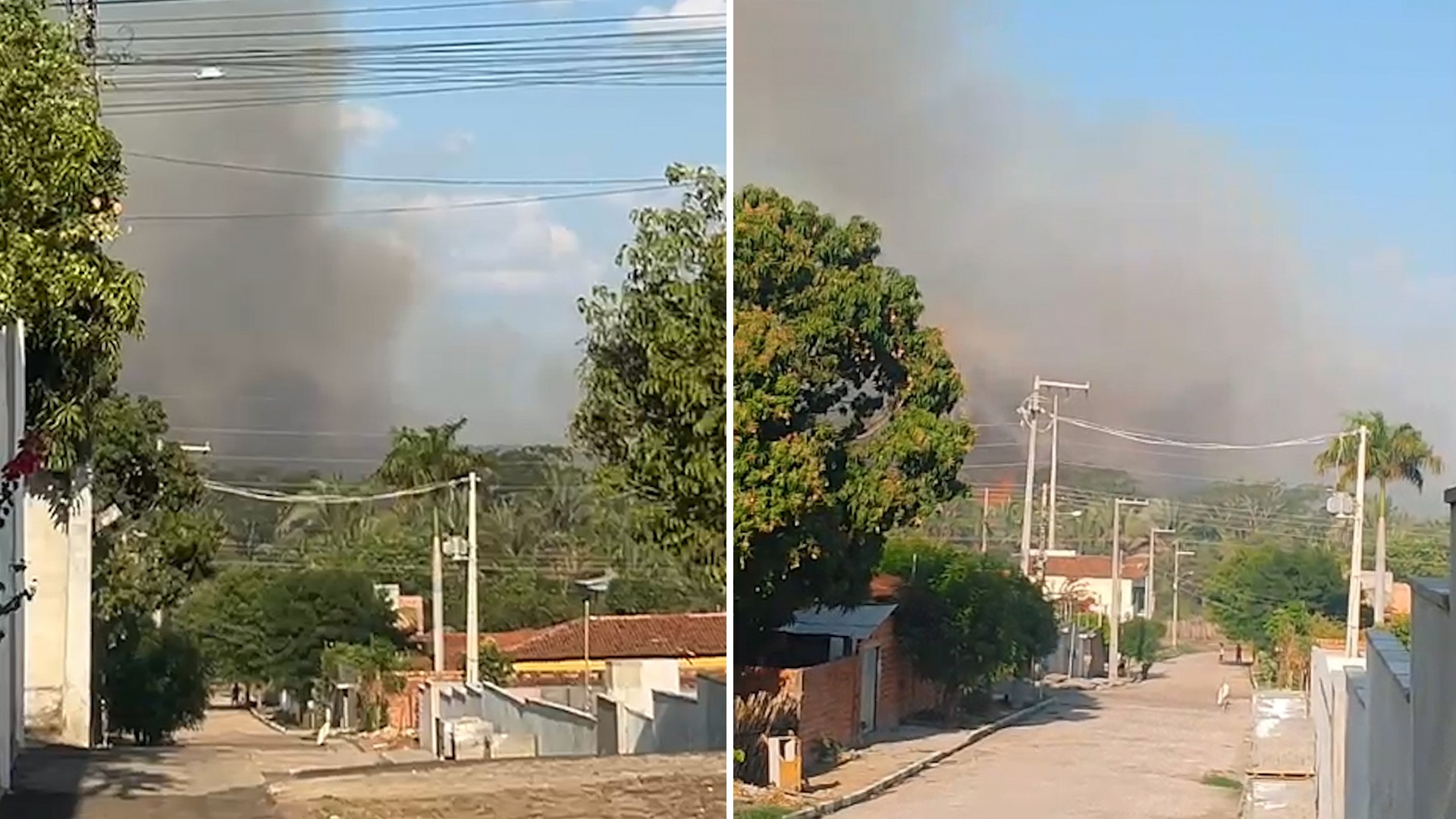 Incêndio de grande proporção atinge floresta de cocais no Norte do Piauí; segundo caso na semana