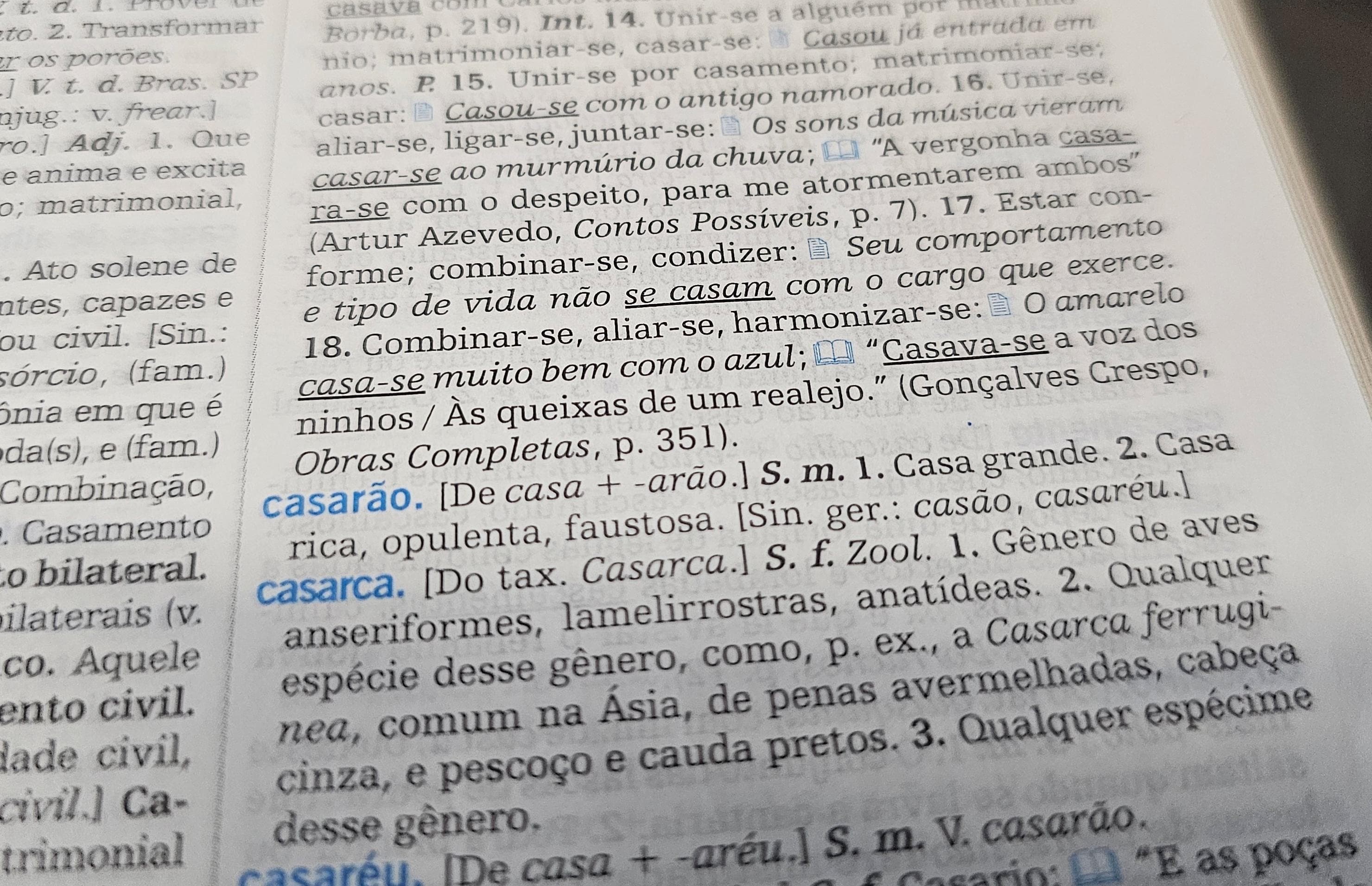 Aumentativos 'incomuns' de cão, gato e nariz viralizam; você acertaria? Faça o quiz e descubra 