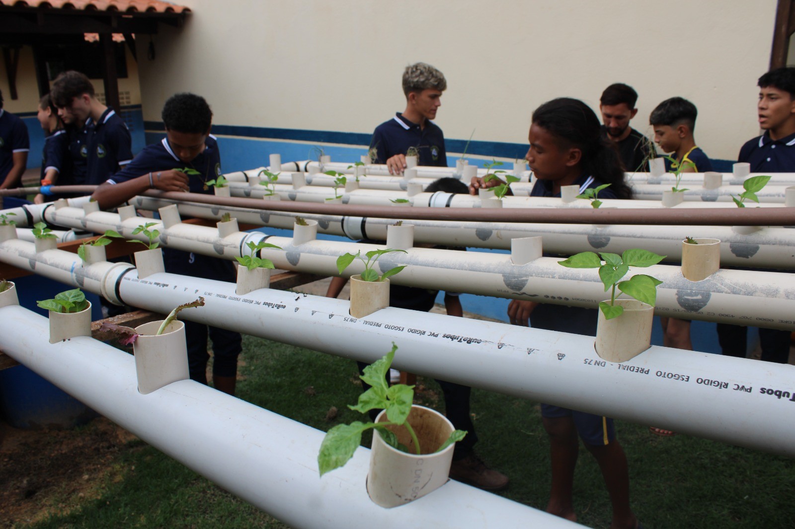 Você Não Tá Convidada pro Meu Bat Mitzvá!