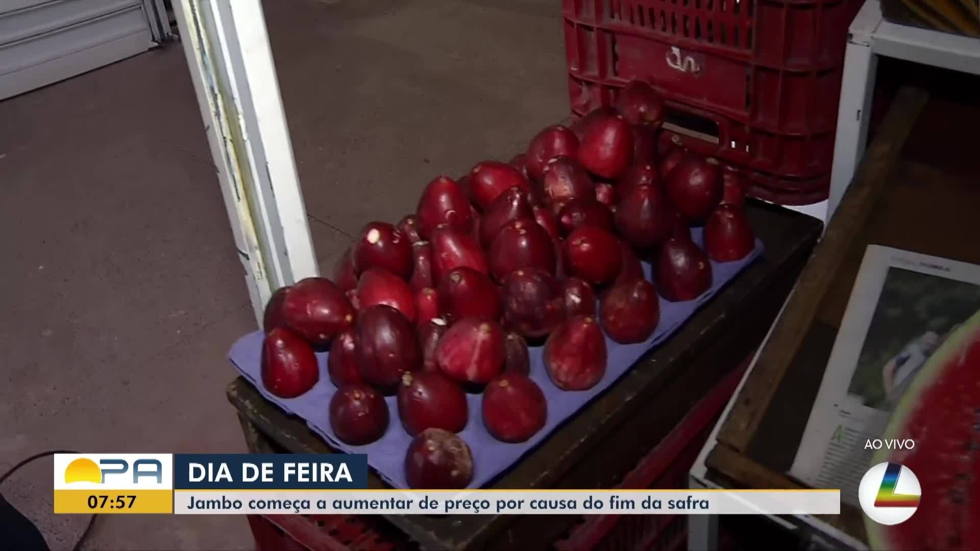 VÍDEOS: BDP de quinta-feira, 21 de agosto de 2025