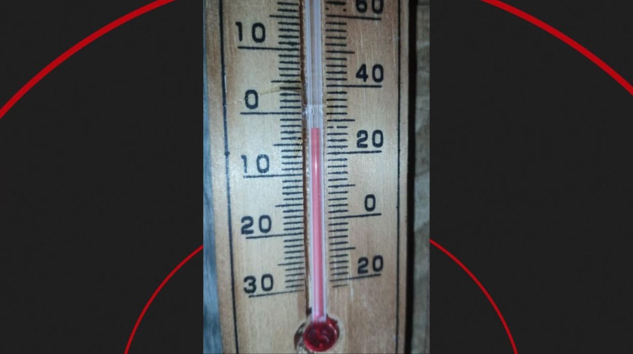Cidade do interior de SP registra -2,8 ºC na manhã mais fria do estado