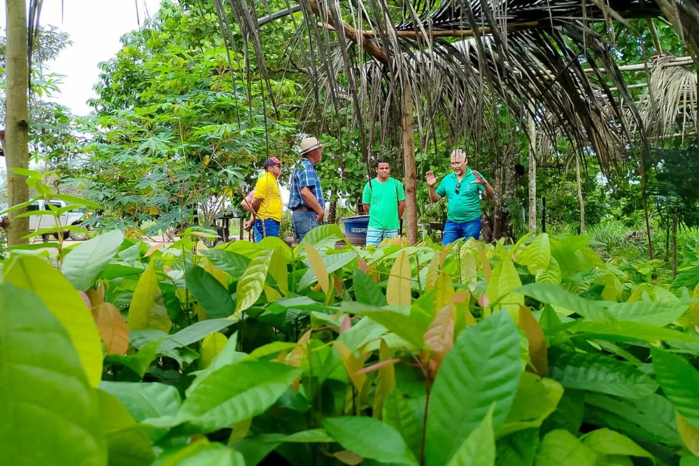 Emater abre PSS com vagas para seis municípios do oeste do Pará; inscrições iniciam na segunda, 23