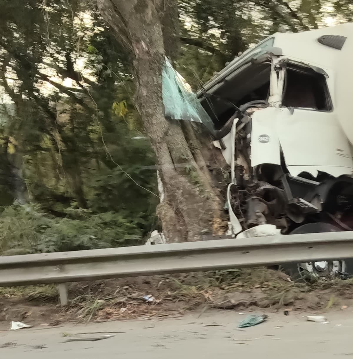 Caminhão carregado com gás bate em árvore após acidente na Via Dutra, em Barra Mansa