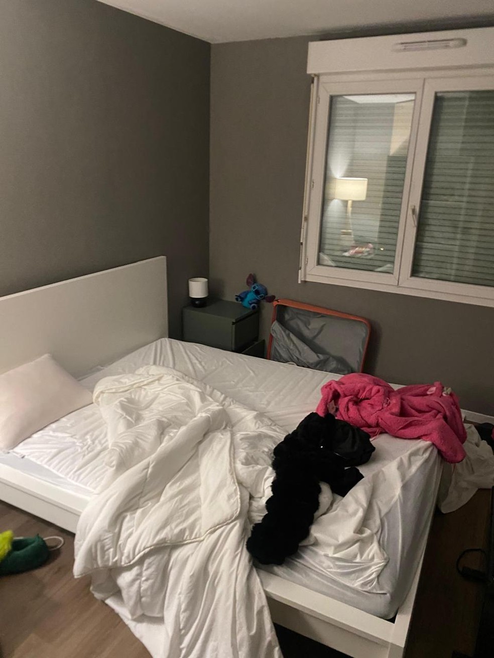 Brasileira denuncia que teve apartamento invadido em Paris — Foto: Arquivo pessoal