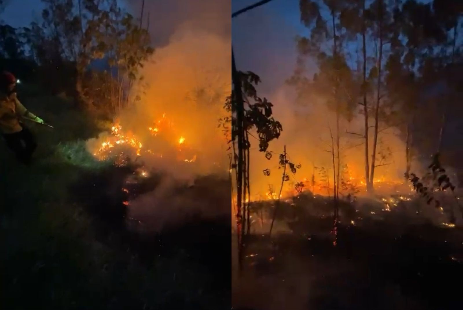 Fogo atinge área de mata próxima a ferro-velho e mobiliza equipes em Várzea Paulista